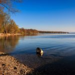 Raus in die Natur –Spaziergang am Ammersee