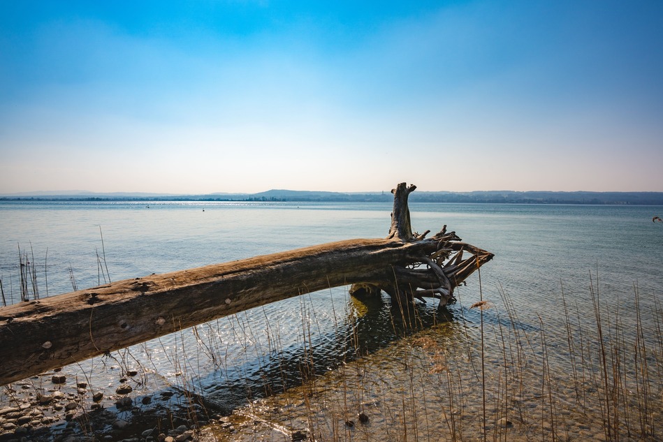 RUNDWEG AMMERSEE – einmal um den see und zurück