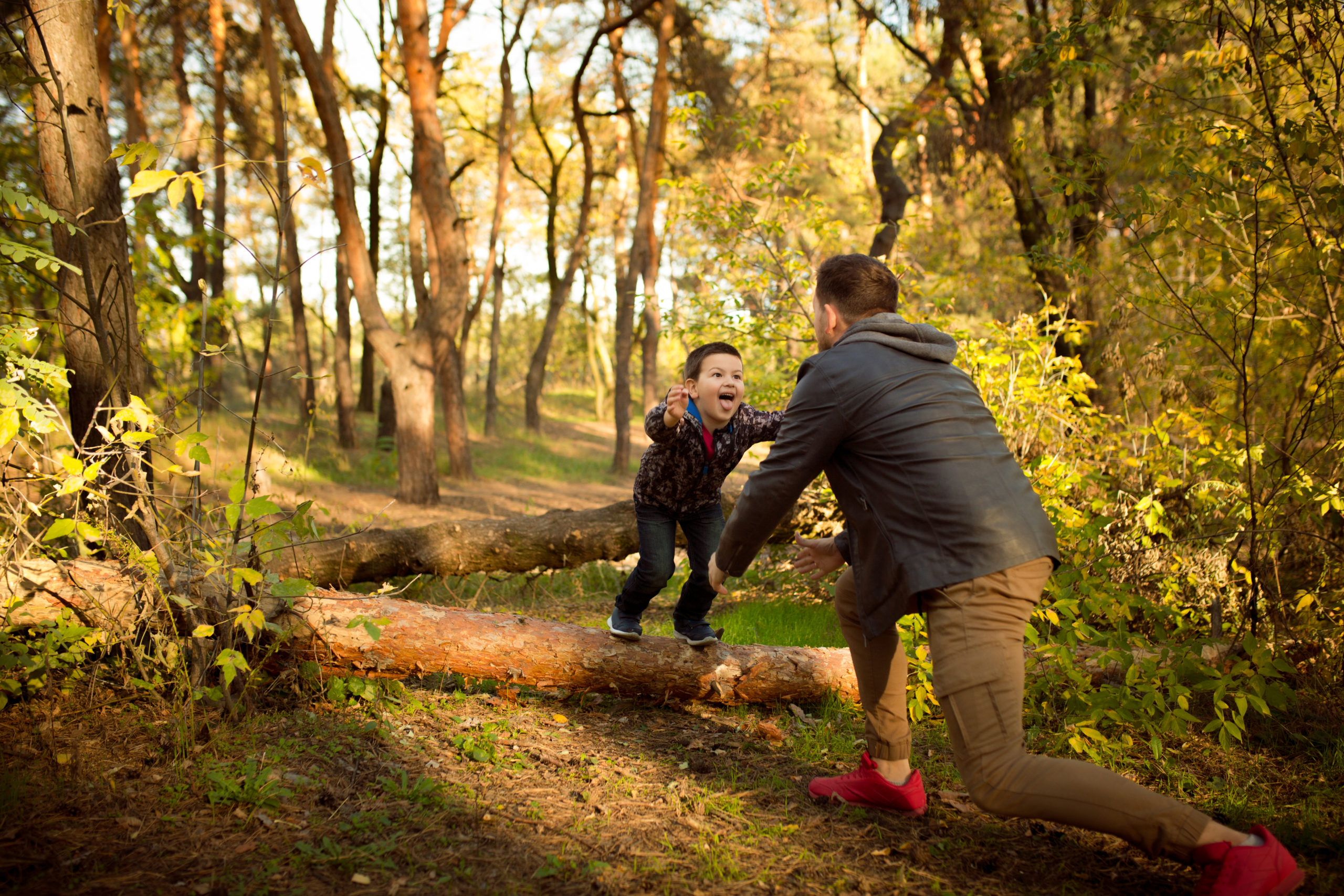 Wandern am Ammersee mit Kindern – die schönsten Touren und Spaziergänge