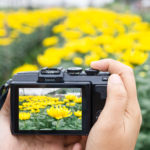 FOTOSPOTS AM AMMERSEE –Besondere Motive vor der Linse