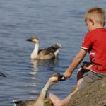 Ammersee mit Kindern – VIELSEITIGER FAMILIENSPASS
